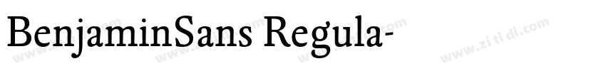 BenjaminSans Regula字体转换